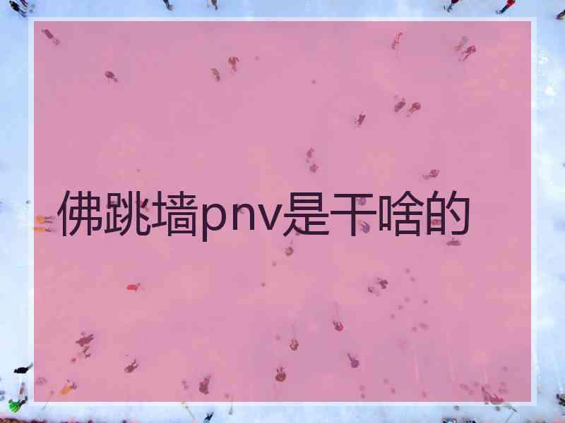 佛跳墙pnv是干啥的