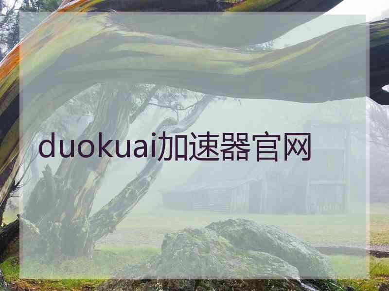 duokuai加速器官网