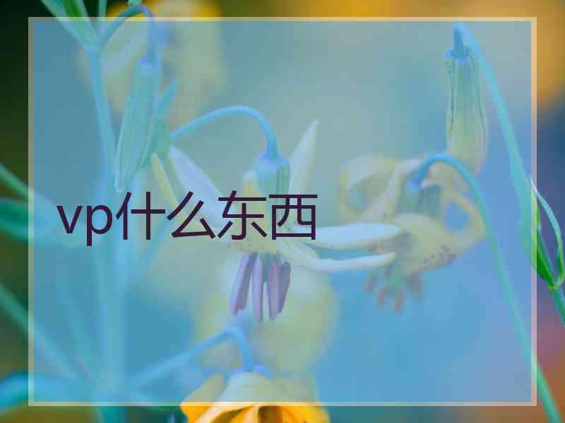 vp什么东西