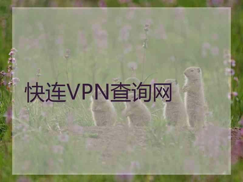 快连VPN查询网