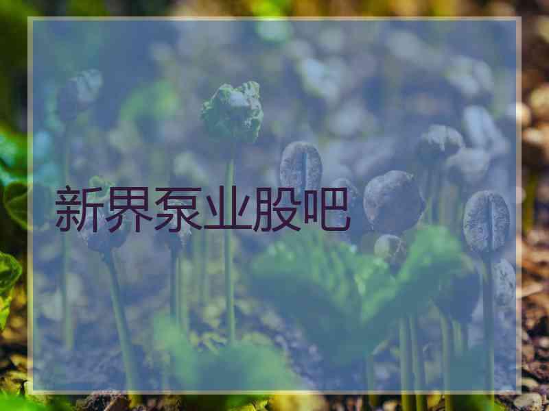 新界泵业股吧