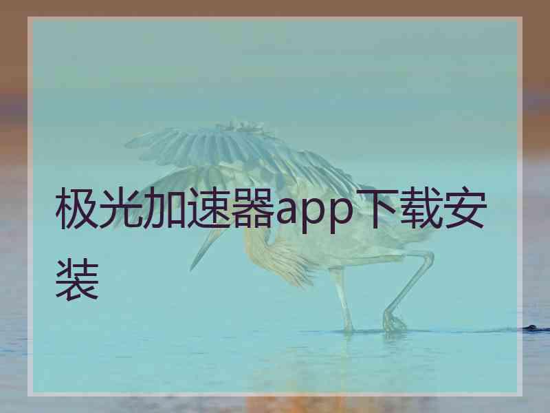 极光加速器app下载安装