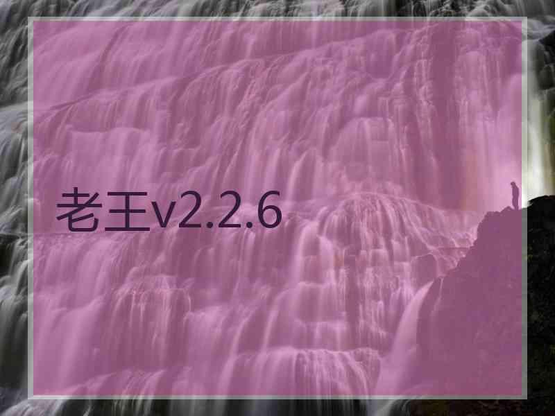 老王v2.2.6