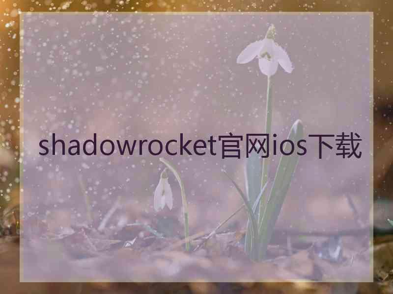 shadowrocket官网ios下载