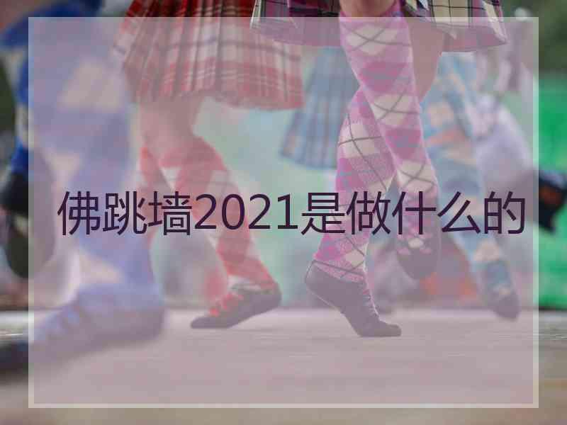 佛跳墙2021是做什么的