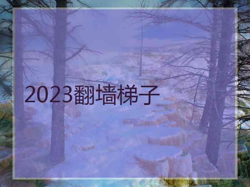 2023翻墙梯子