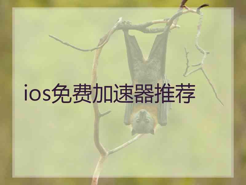 ios免费加速器推荐