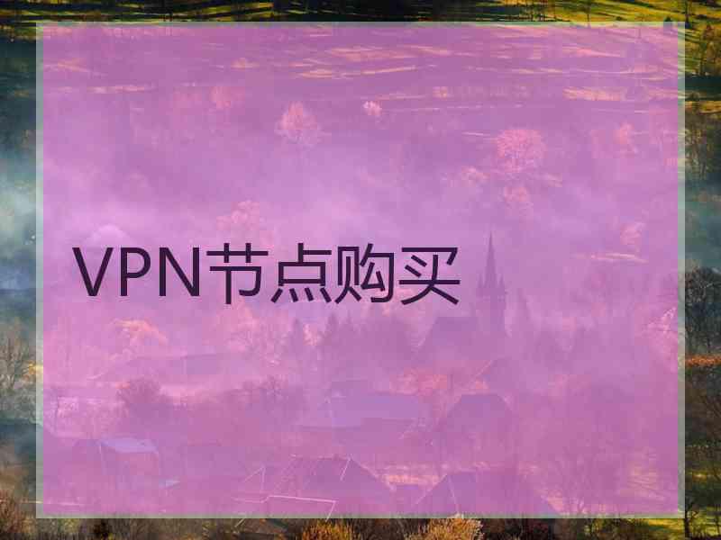 VPN节点购买