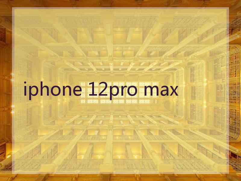 iphone 12pro max