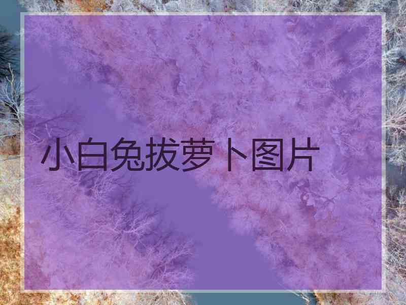 小白兔拔萝卜图片