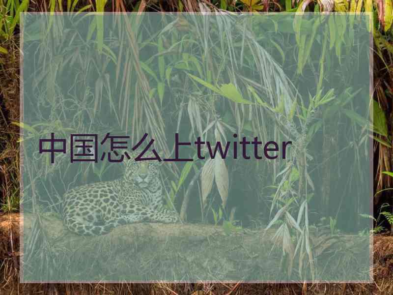 中国怎么上twitter