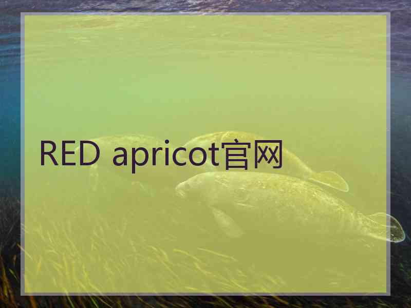 RED apricot官网