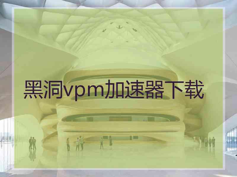 黑洞vpm加速器下载