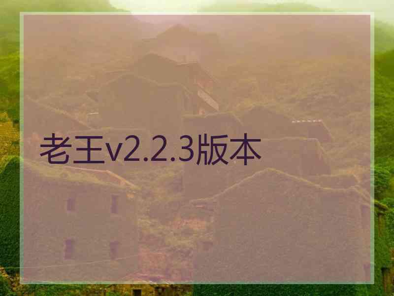 老王v2.2.3版本