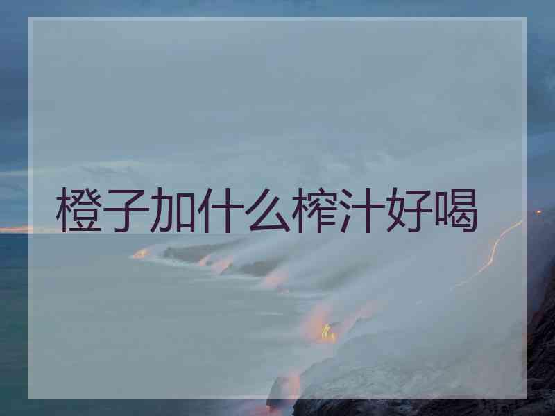 橙子加什么榨汁好喝