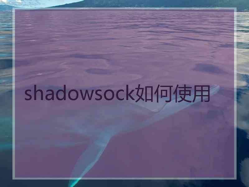 shadowsock如何使用