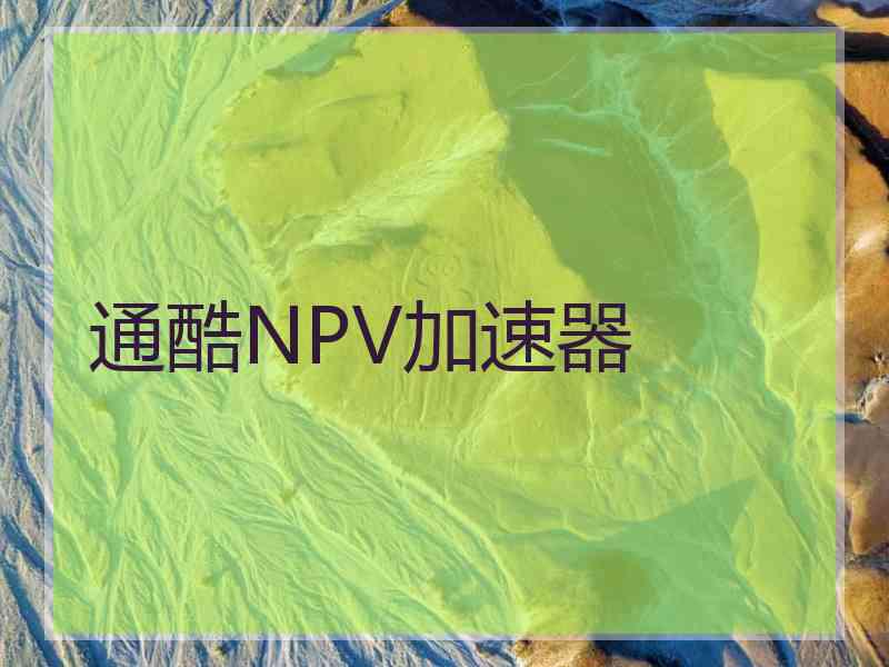 通酷NPV加速器