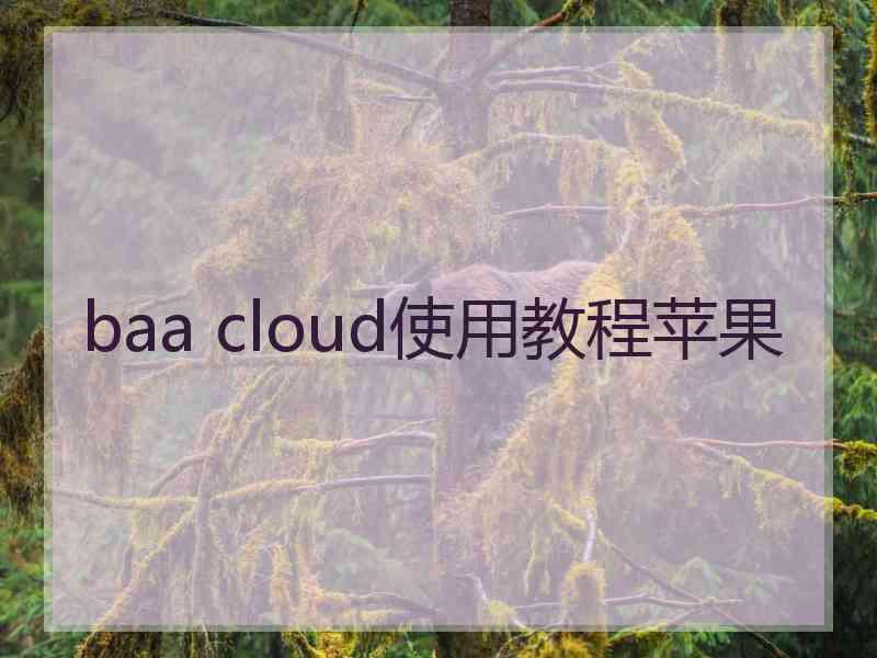 baa cloud使用教程苹果