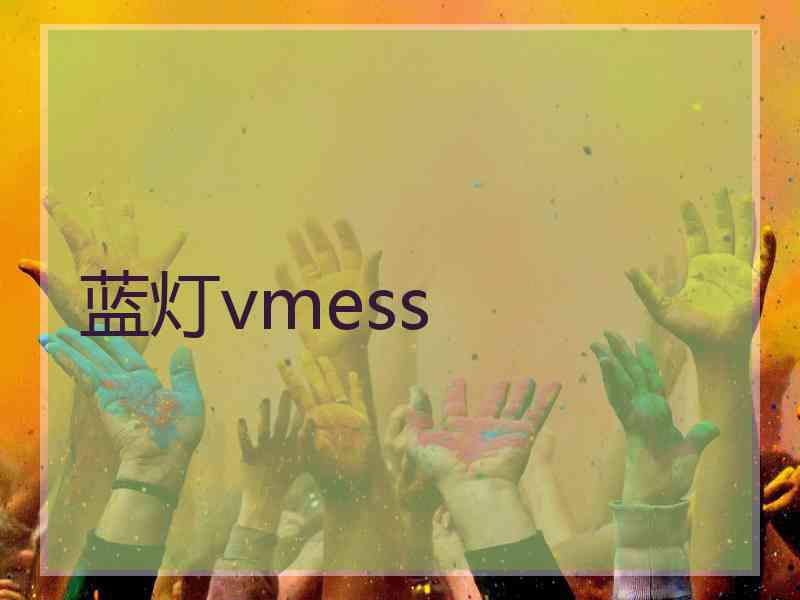 蓝灯vmess