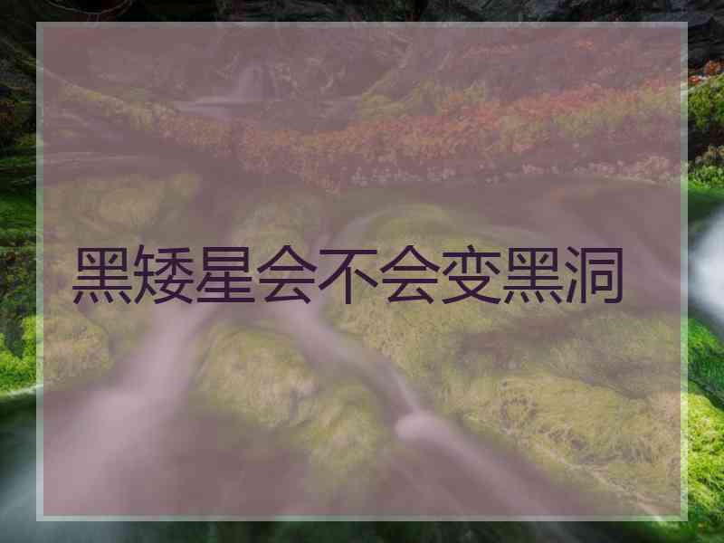 黑矮星会不会变黑洞