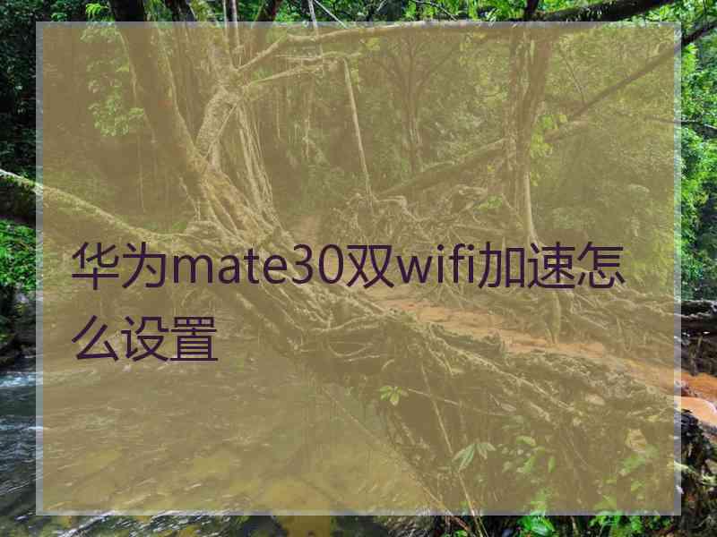 华为mate30双wifi加速怎么设置