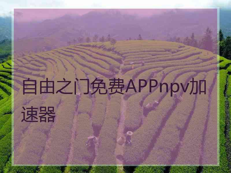 自由之门免费APPnpv加速器