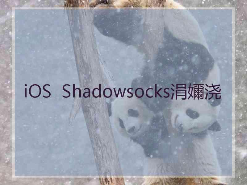 iOS  Shadowsocks涓嬭浇