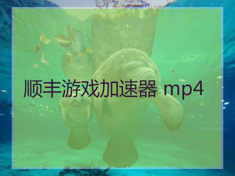 顺丰游戏加速器 mp4