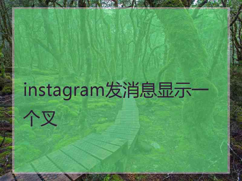 instagram发消息显示一个叉