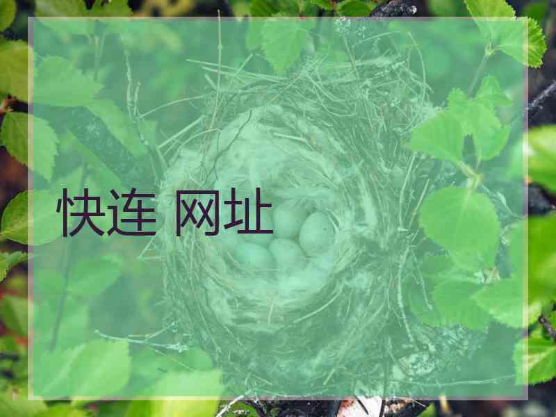 快连 网址