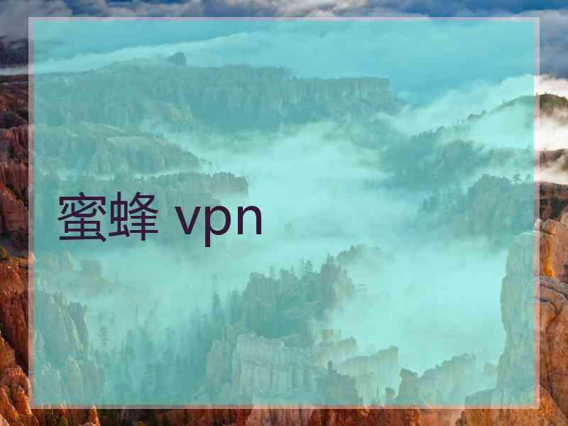 蜜蜂 vpn