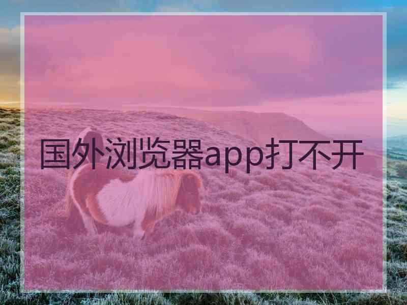 国外浏览器app打不开