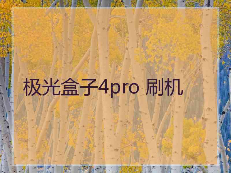 极光盒子4pro 刷机