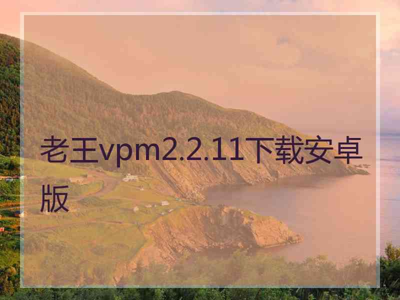 老王vpm2.2.11下载安卓版