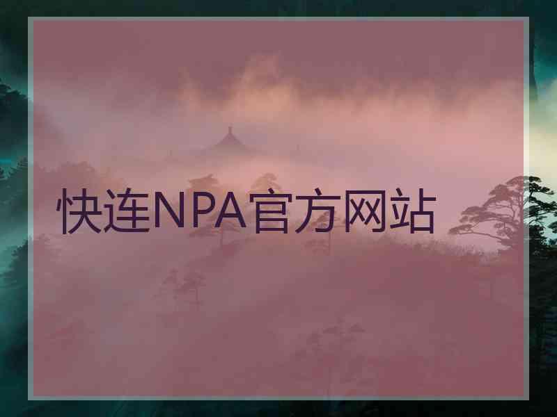 快连NPA官方网站