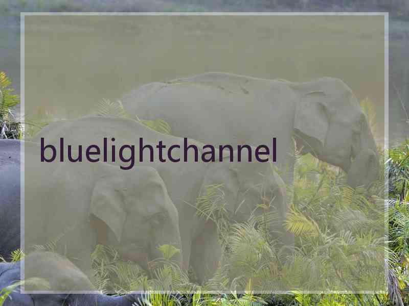 bluelightchannel