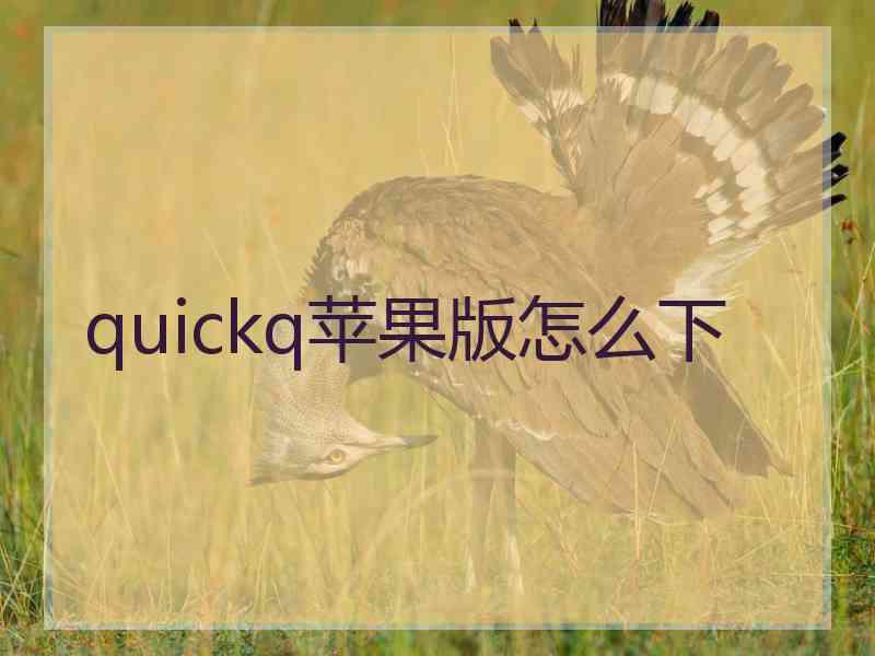 quickq苹果版怎么下