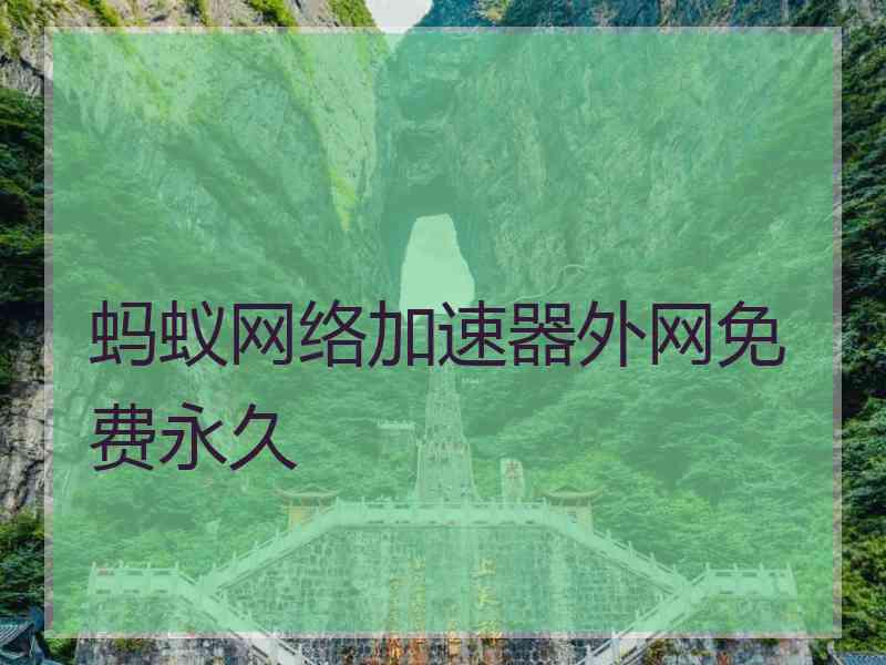 蚂蚁网络加速器外网免费永久