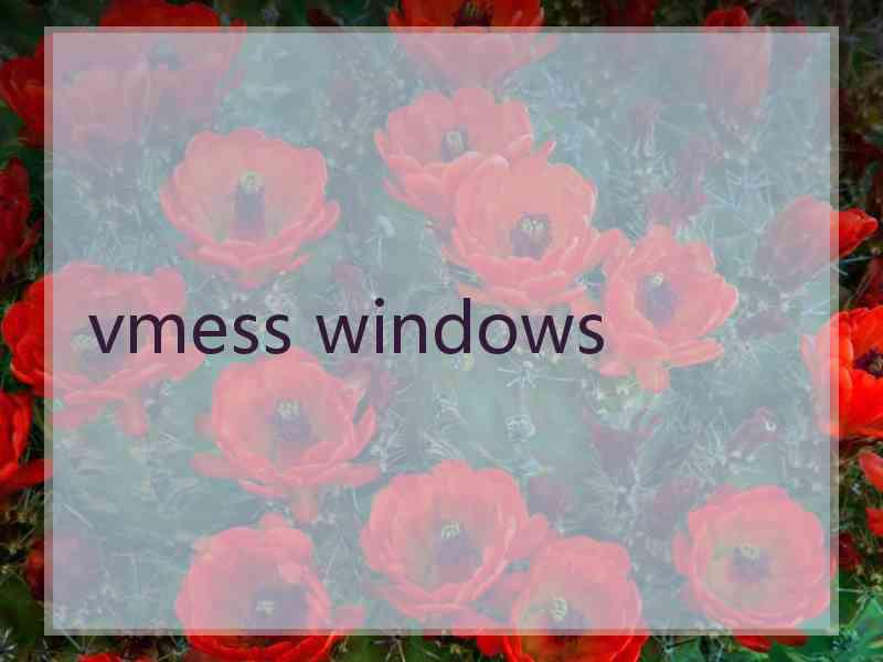 vmess windows