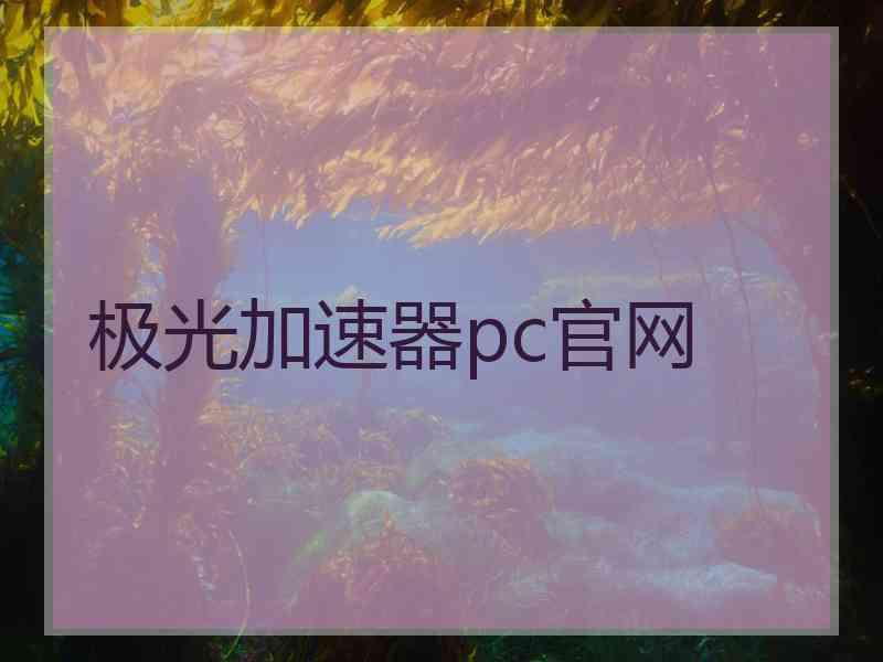 极光加速器pc官网