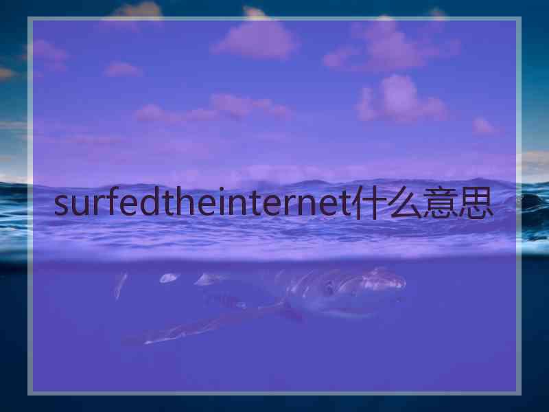 surfedtheinternet什么意思