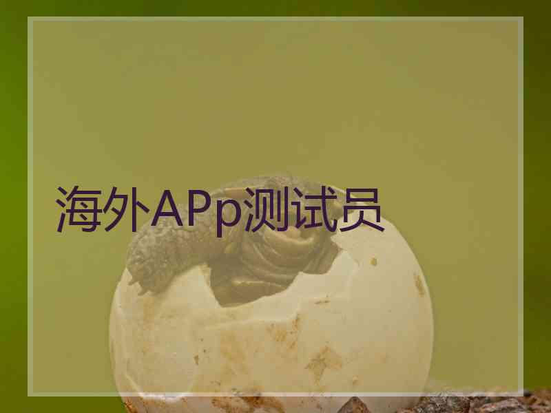 海外APp测试员