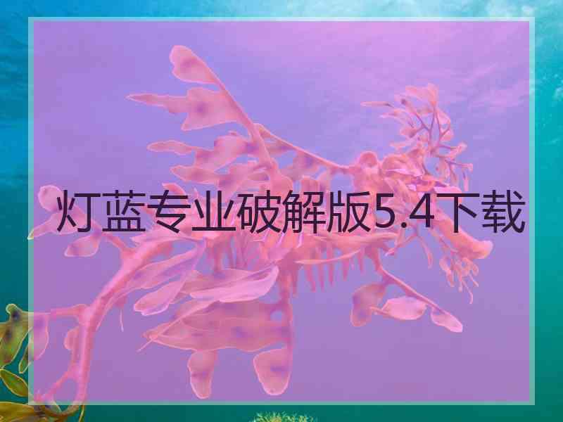 灯蓝专业破解版5.4下载