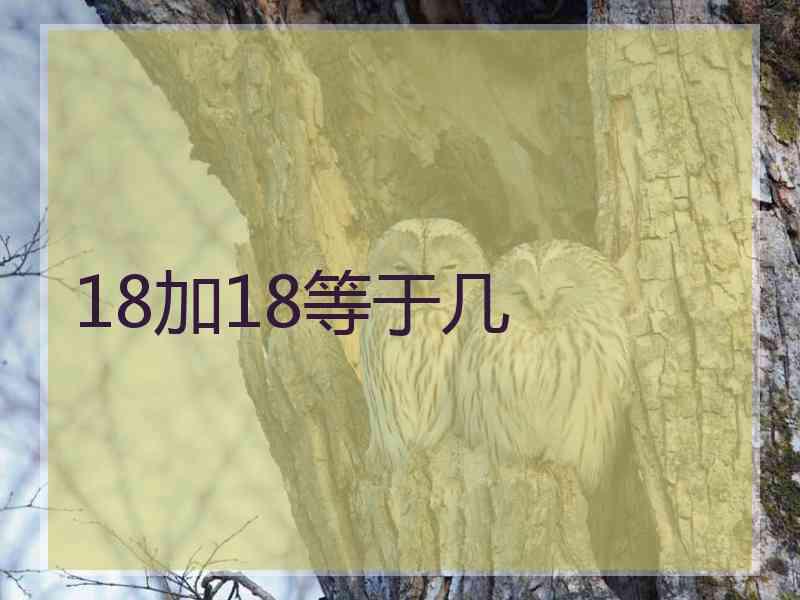 18加18等于几