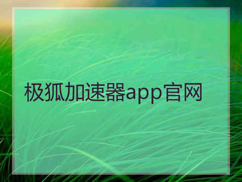 极狐加速器app官网