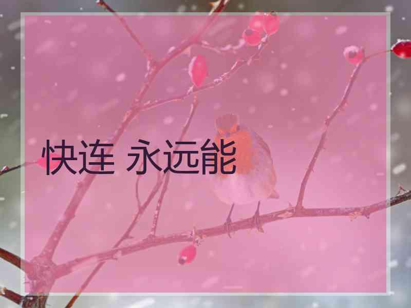 快连 永远能