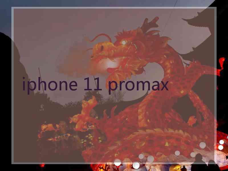 iphone 11 promax