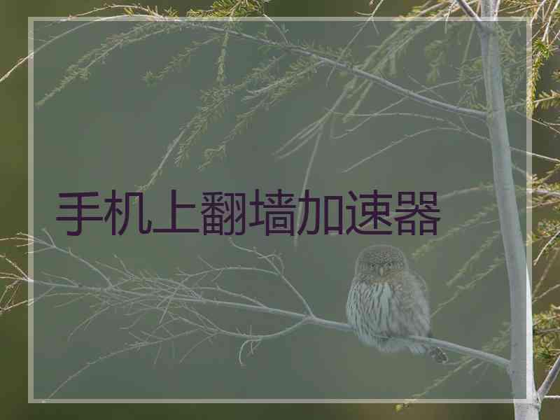 手机上翻墙加速器