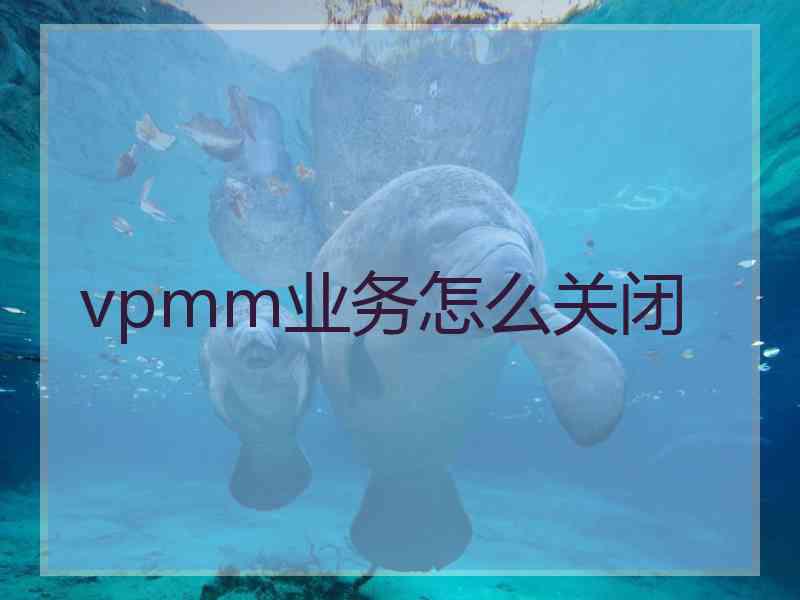 vpmm业务怎么关闭