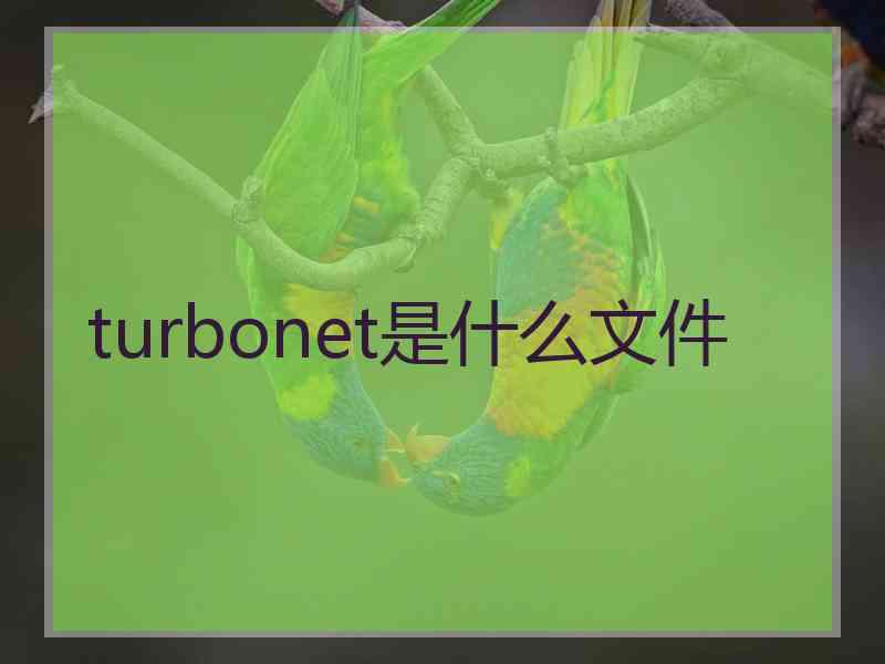 turbonet是什么文件